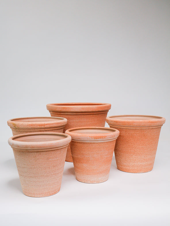 Etrusco - 5/set